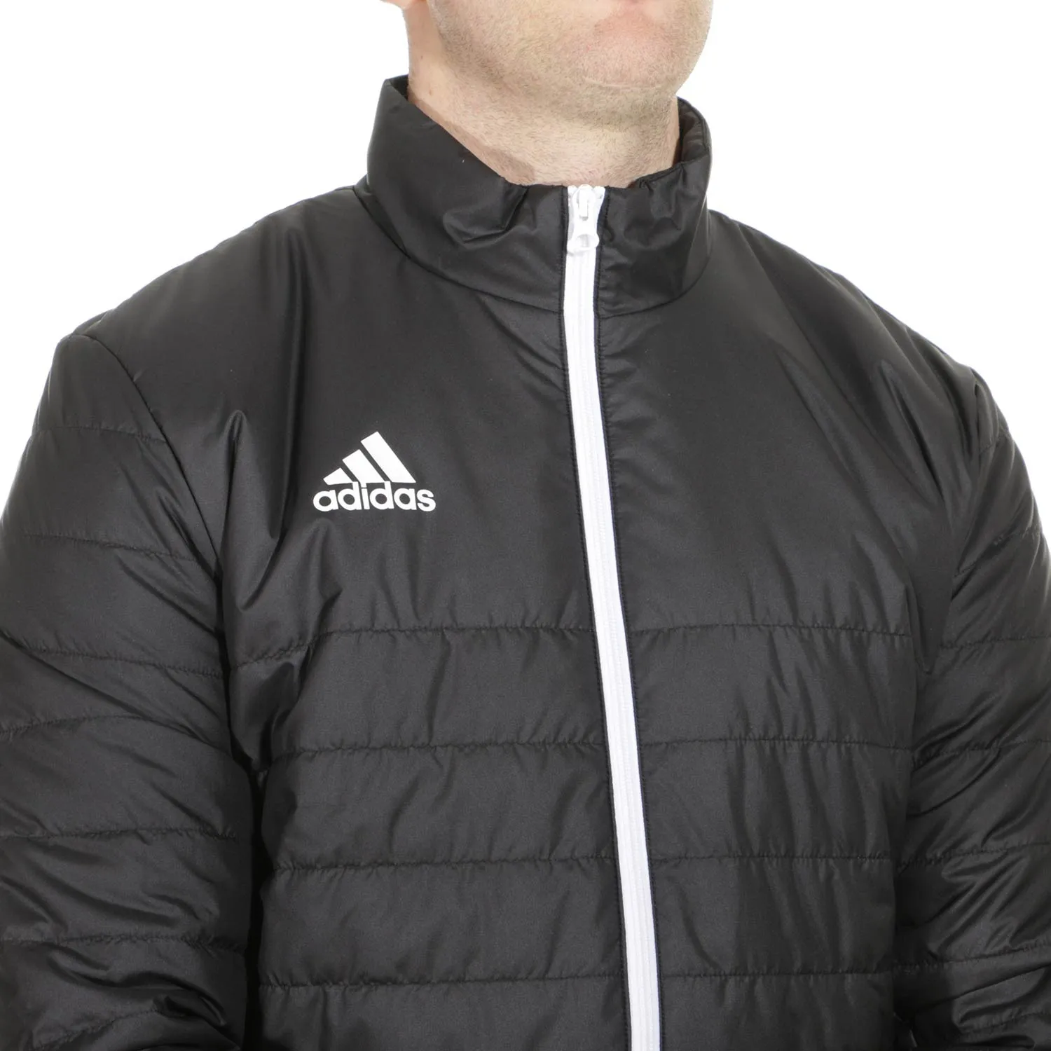 Abrigo adidas Entrada 22