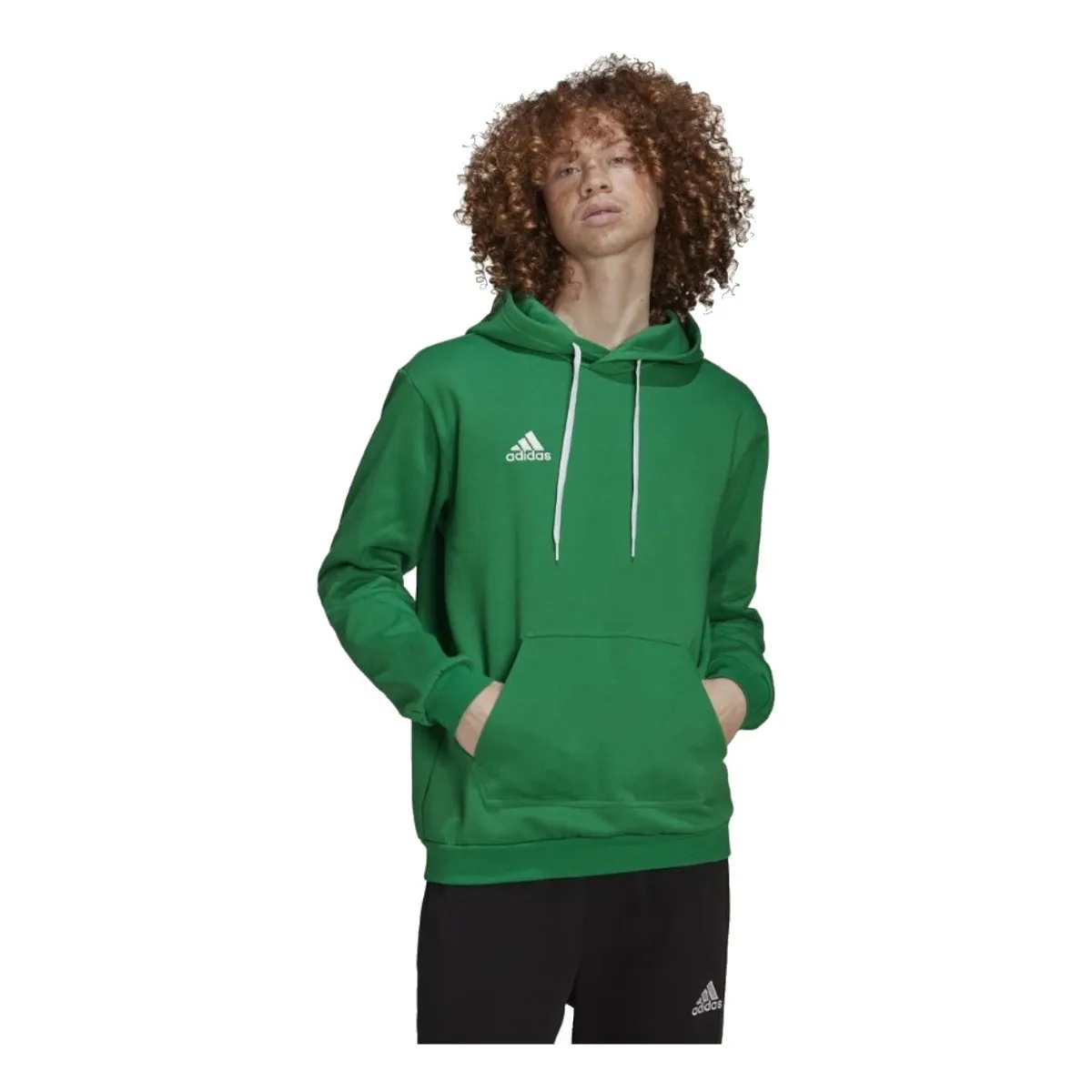 adidas Entrada 22 Sweat Hoodie
