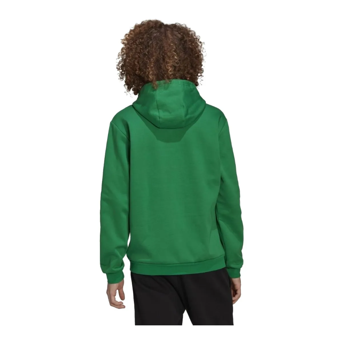 adidas Entrada 22 Sweat Hoodie