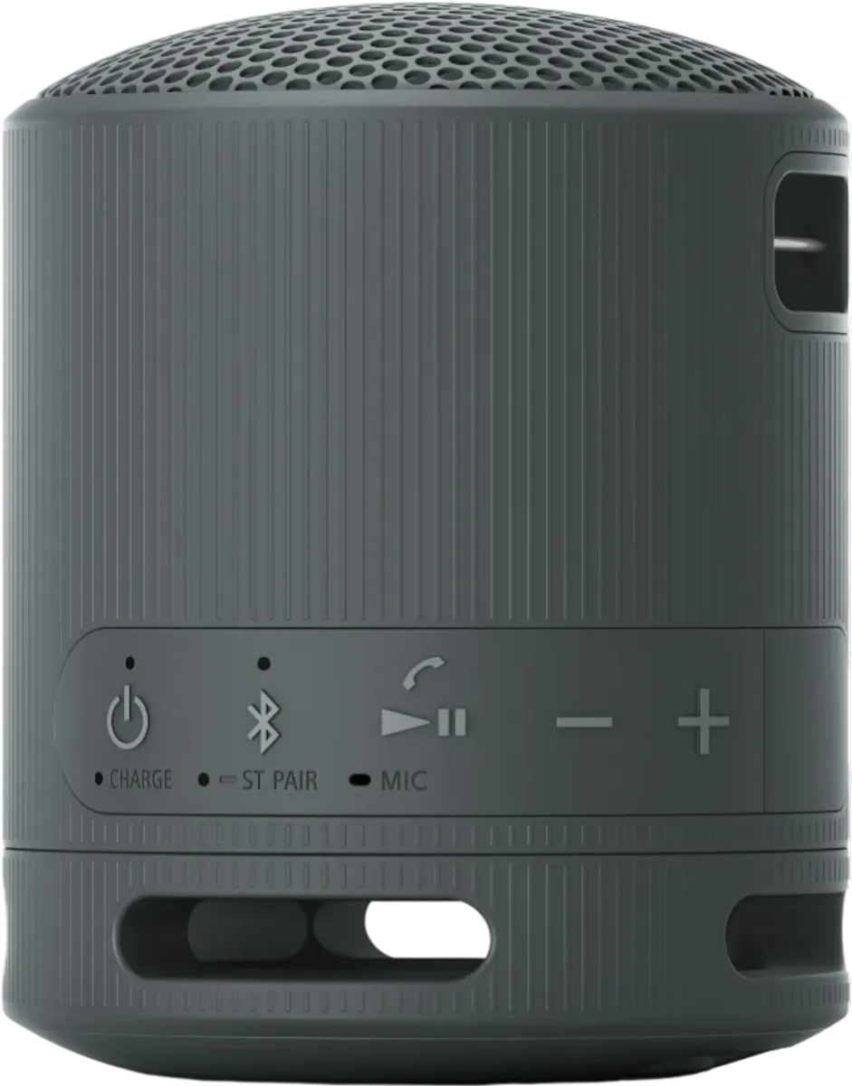 ALTAVOCES SONY SRSXB100