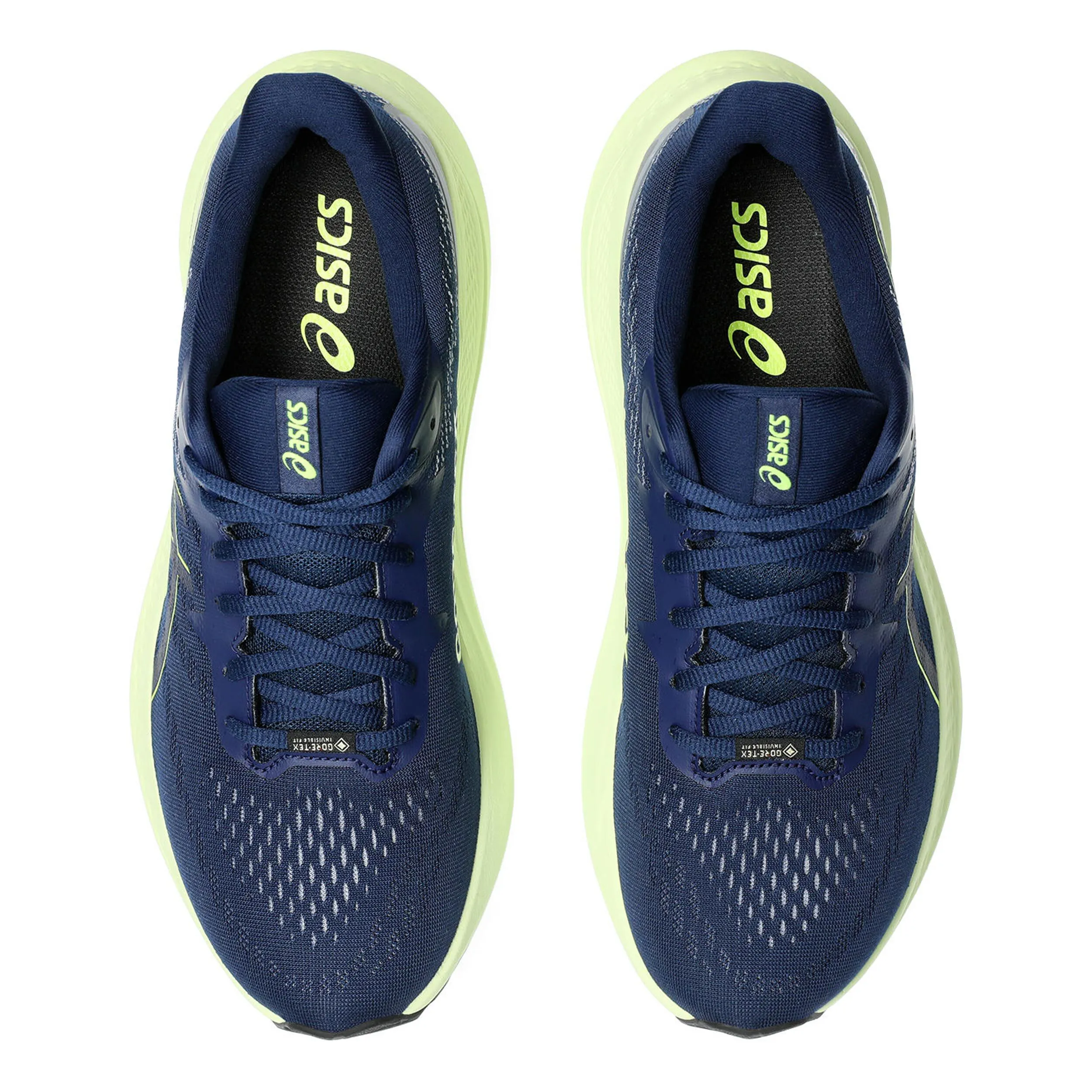 ASICS GT2000 12 GTX ZAPATILLA DE ESTABILIDAD HOMBRES