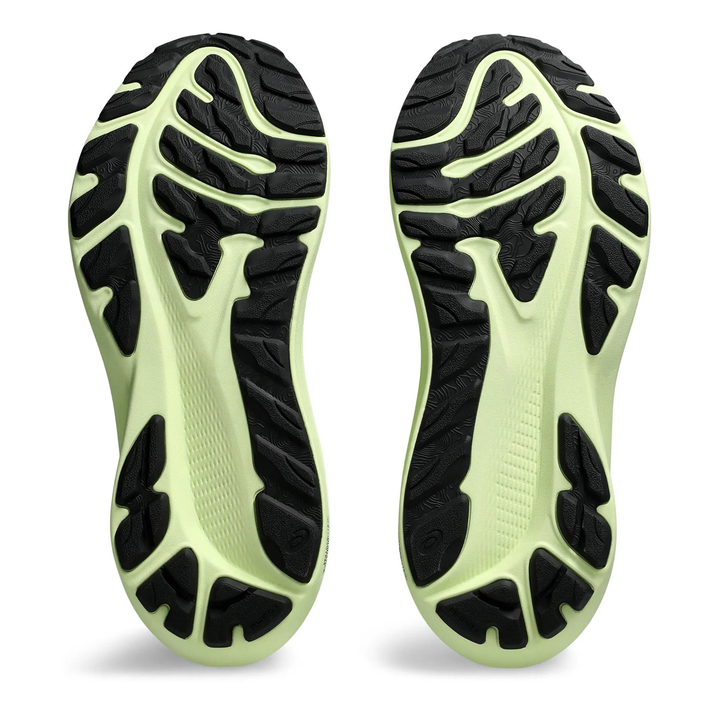 ASICS GT2000 12 GTX ZAPATILLA DE ESTABILIDAD HOMBRES