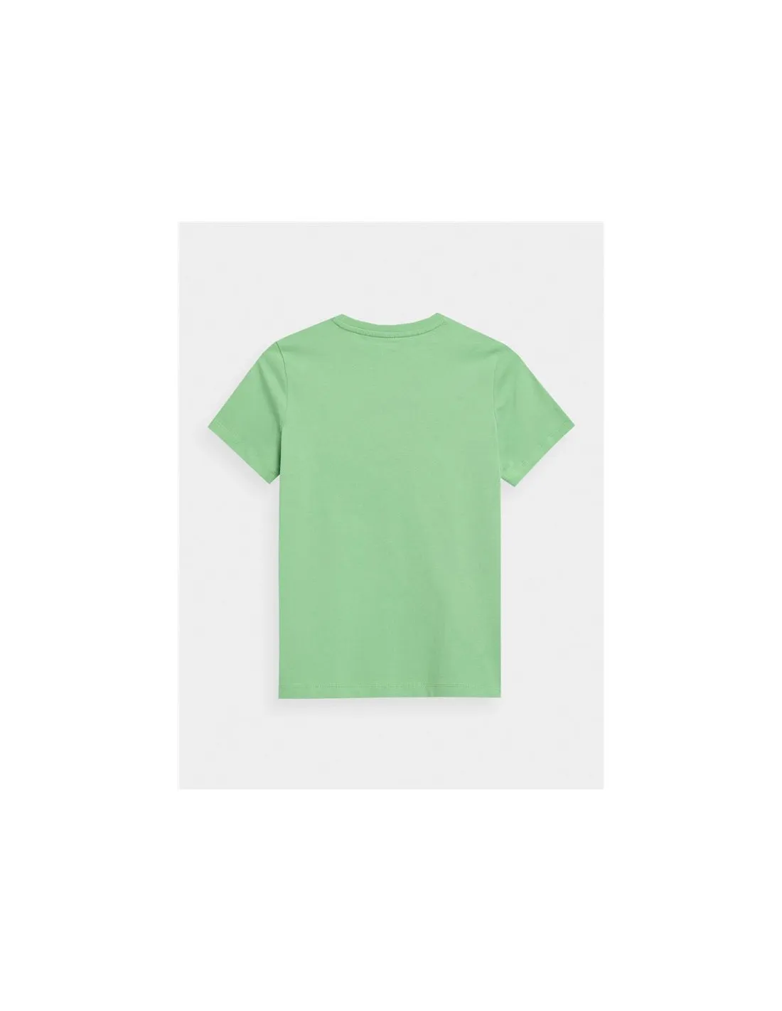 Camiseta 4F M294 Niño Canary Verde