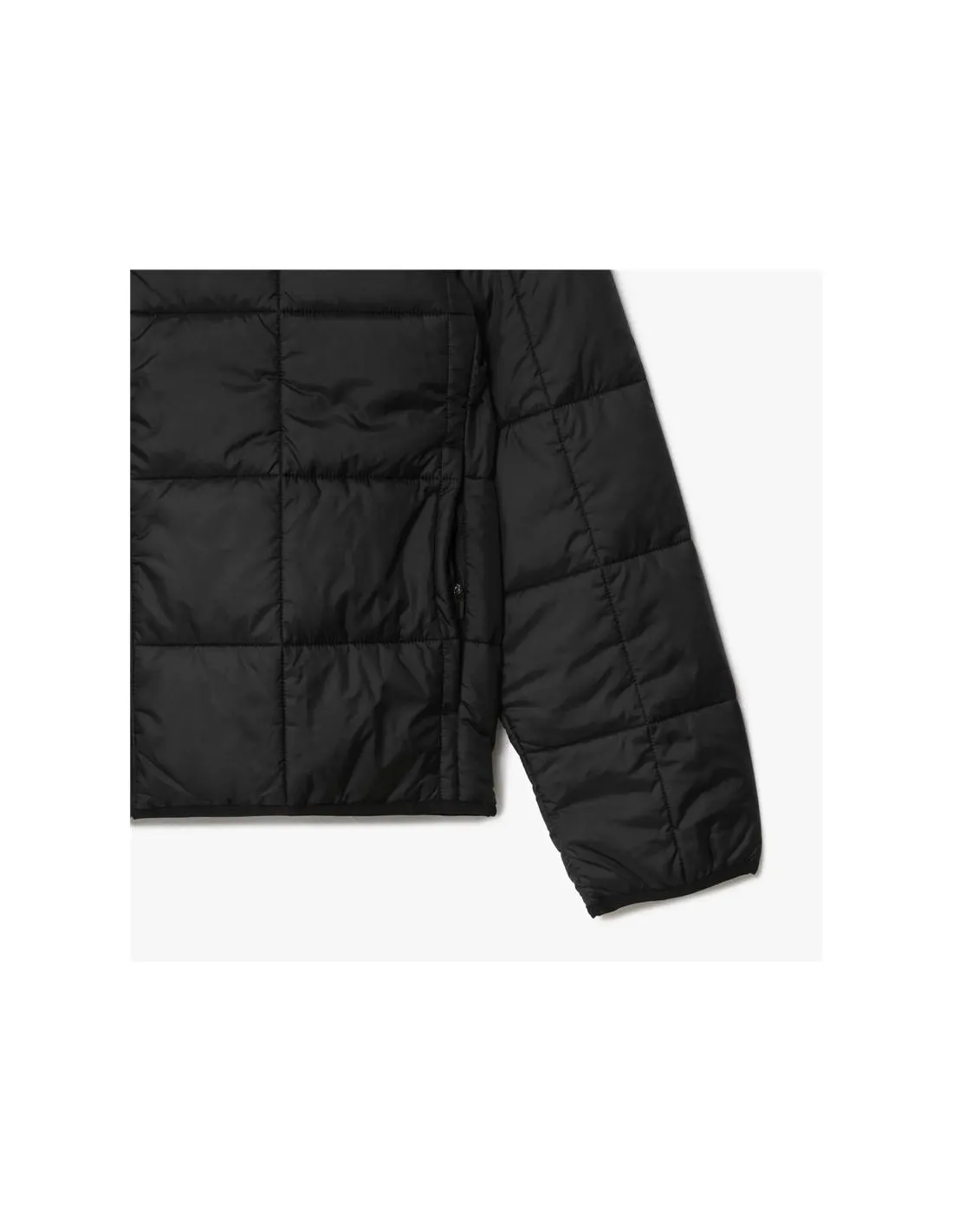 Chaqueta Lacoste Blouson Hombre