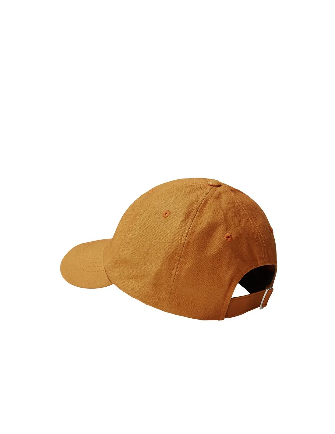 Gorra The North Face Norm Beige