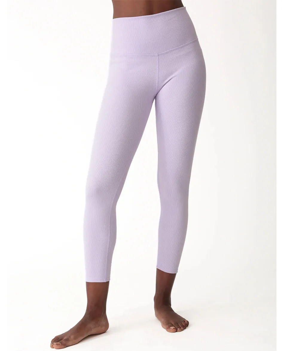 MALLA ELECTRIC & ROSE VENICE RIB