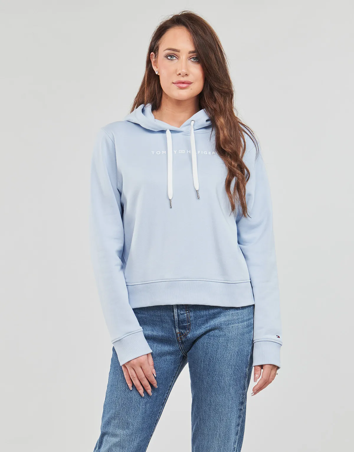 REG FROSTED CORP LOGO HOODIE