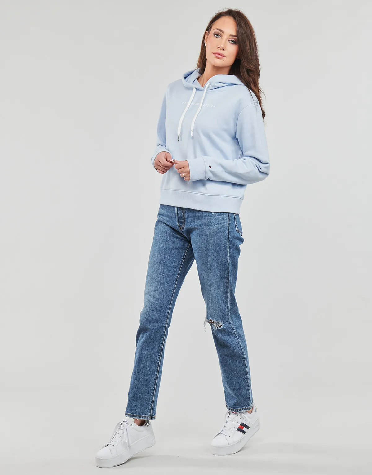 REG FROSTED CORP LOGO HOODIE