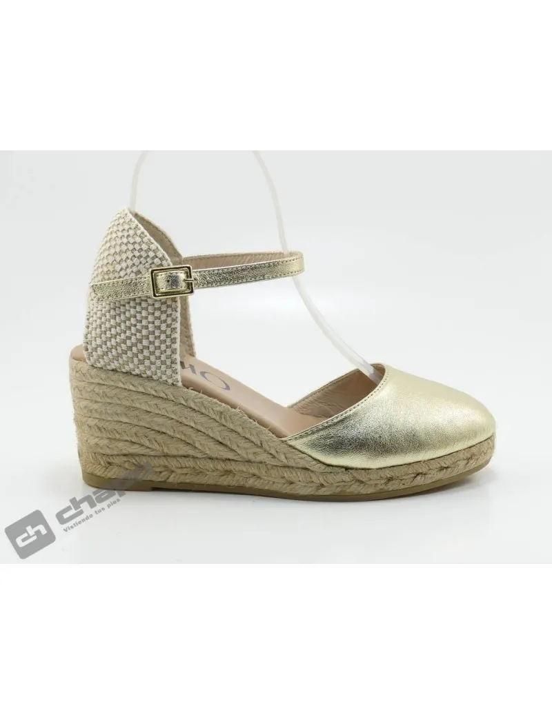 Zapatos Oro Gaimo Titulo